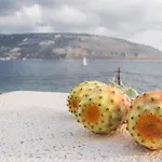 Alkyon Seaside *
