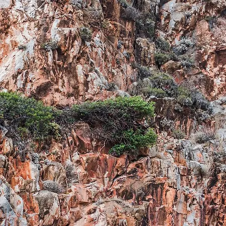Alkyon Seaside Néon Oítilon