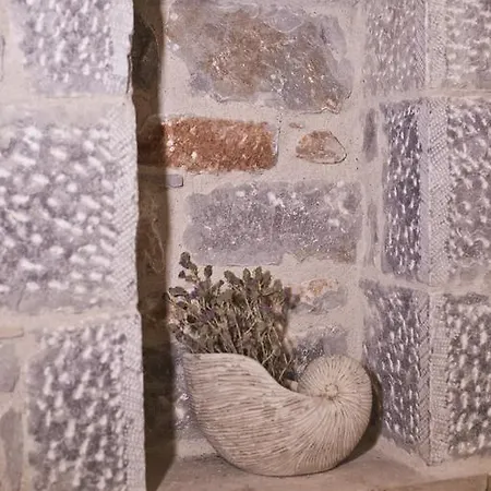 Alkyon Seaside דירה