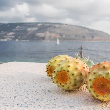 Alkyon Seaside *