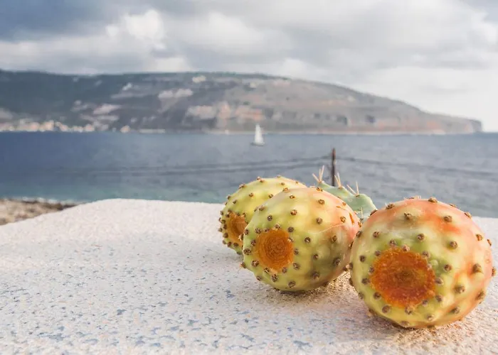 Alkyon Seaside *